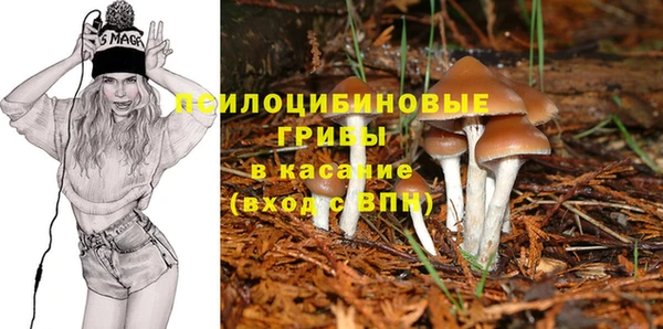 PSILOCYBIN Алексин