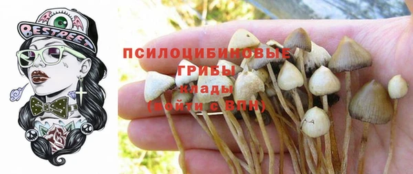 МДПВ Алзамай
