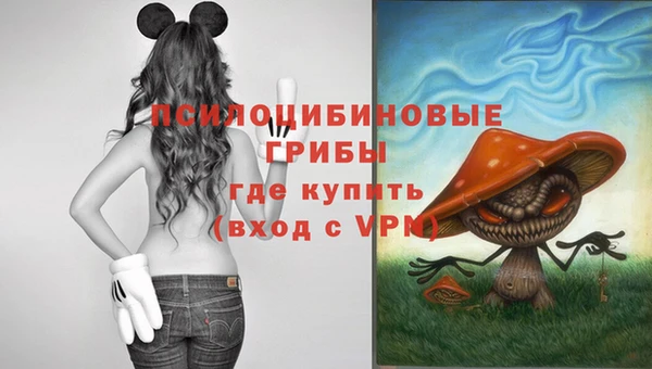 первитин Алексеевка
