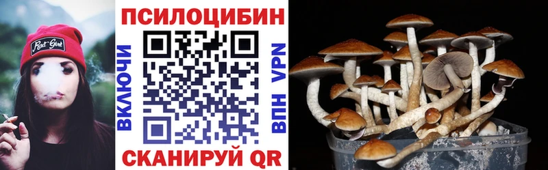 мориарти телеграм  Кудрово  Галлюциногенные грибы GOLDEN TEACHER 
